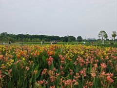 -曾百万小炉小串自助烧烤(高新店)