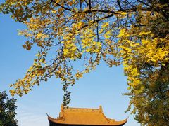 -圆通寺