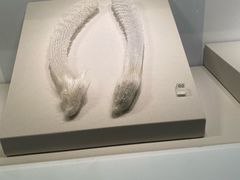 -四川大学博物馆