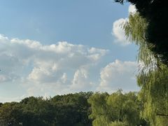-上海滨江森林公园