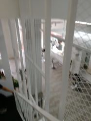 -HANYI韩艺形象店