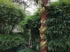 -杭州黄龙洞