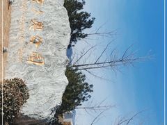 -永定河休闲森林公园