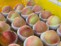 -老袁家蜜桃农场·阳山水蜜桃