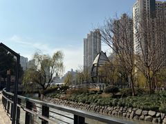 -苏州河梦清园环保主题公园