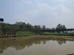 -桃源山庄·水蜜桃采摘·柴火鸡·烧烤团建(龙泉山店)