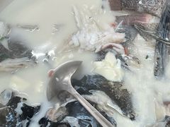 -全乐鱼馆·淳牌有机鱼直营店