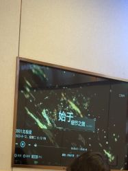 -上海华美医疗美容医院