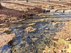 -白水寺森林公园