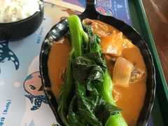 -雨林餐厅(长隆海洋王国店)