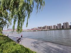 -咸阳湖景区-古渡公园