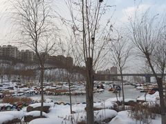-小绿谷公园