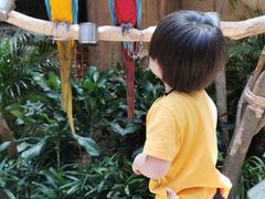 -杭州开元森泊度假乐园