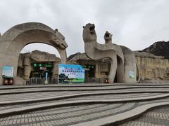-青岛森林野生动物世界