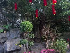 -广州市流溪河国家森林公园