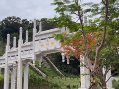 -梧桐山风景名胜区