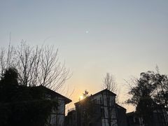 -粤香村(清真川菜店)