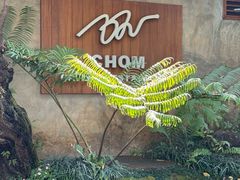 -Chom Cafe and Restaurant