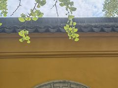 -西园戒幢律寺