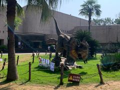 -自贡恐龙博物馆