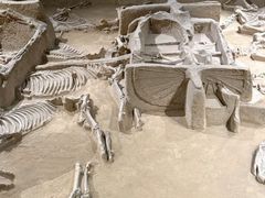 -洛阳周王城天子驾六博物馆