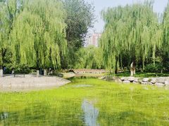 -丰台科技园生态主题公园
