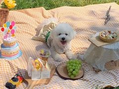 -艾溪湖湿地公园