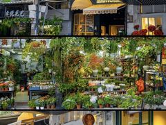-溪岸路花鸟市场