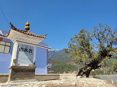 -白水台
