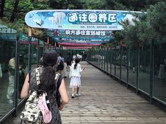 -大连森林动物园