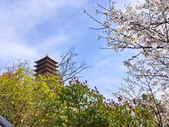 -牛首山文化旅游区