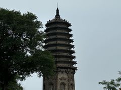 -高尔山公园