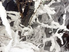 -汉拿山温泉度假酒店
