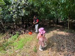 -塘栖枇杷特色园区