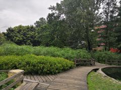-成都市活水公园