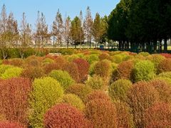 -嘉北郊野公园