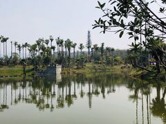 -枫香湖儿童公园