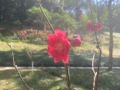 -桃花涧
