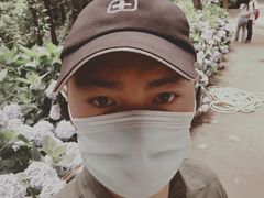 -苍山感通索道