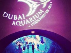 -迪拜水族馆及水下动物园