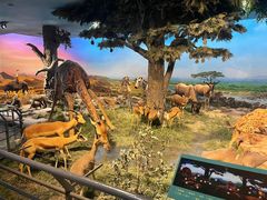 -国家自然博物馆