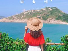 -广东惠东海龟国家级自然保护区