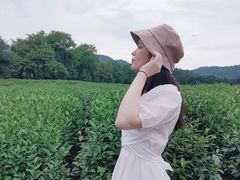 -中国茶叶博物馆(双峰馆区)