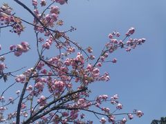 -常德桃花源景区