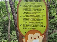 -大岭沟猕猴桃谷风景区