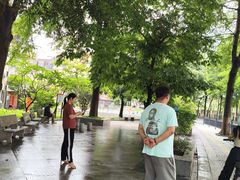 -长洲岛