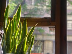 -VESH COFFEE(定西路店)