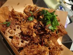 -老平安农家菜(平安店)