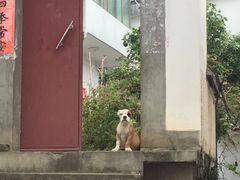 -新安江山水画廊风景区