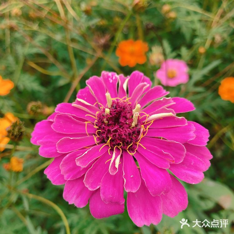 ️周三，午安！ 喜欢秋高气爽的季节  阳光明媚